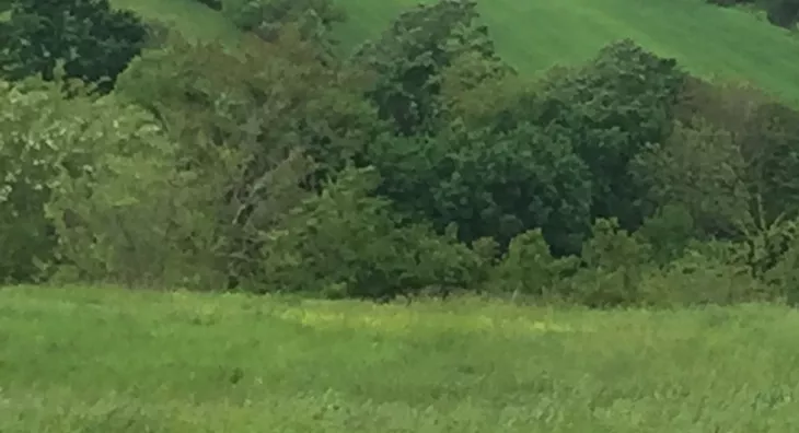 Poljoprivredno zemljište | 4zida
