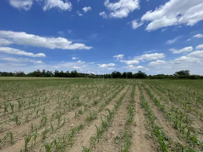 Velika Ivanča | 4zida.rs