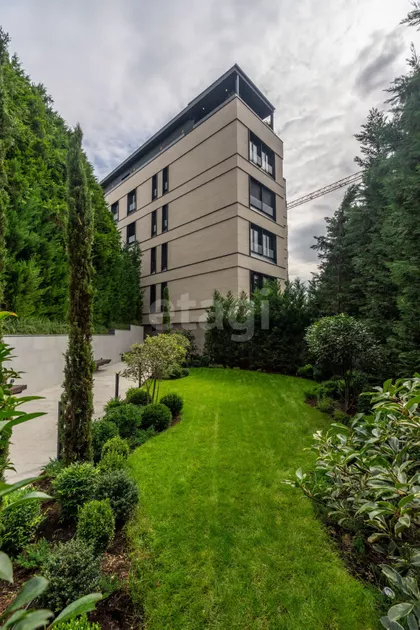 Miće Orlovića | 4zida.rs