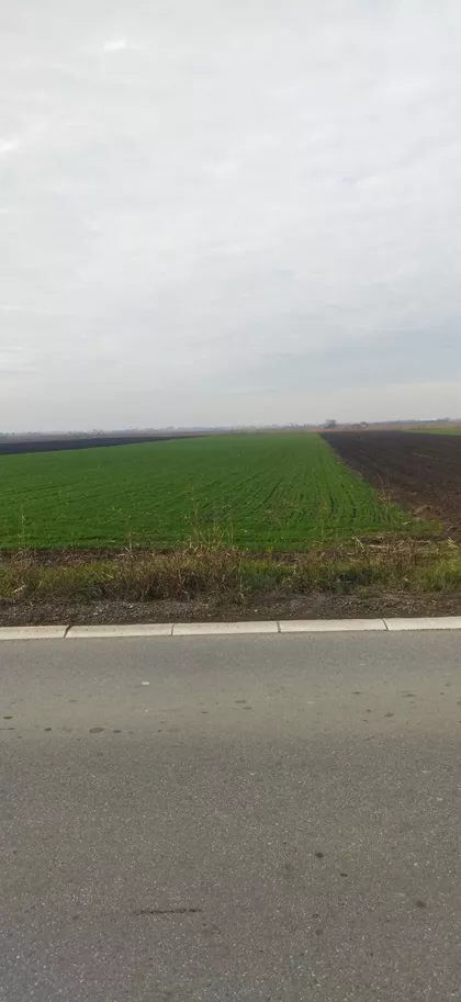 Batajnica | 4zida.rs