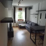 Beograd, Vračar, Crveni Krst Vračar | 4zida.rs | 4zida.rs