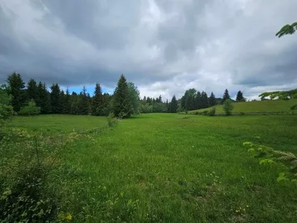 Jabuka | 4zida.rs