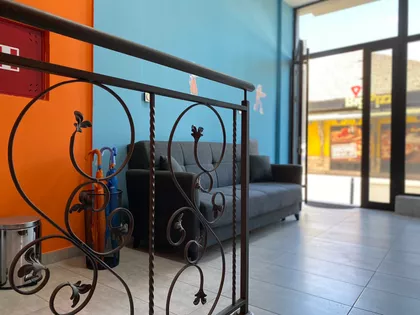 Novi Sad - Centar | 4zida.rs