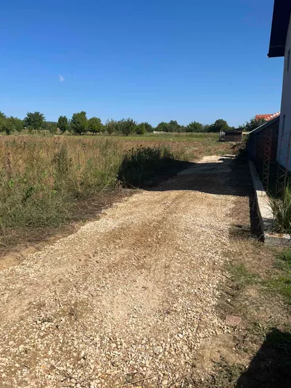 Nebojše Popovića | 4zida.rs