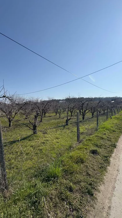 Rudnička | 4zida.rs