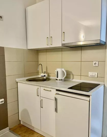 Snežnik | 4zida.rs