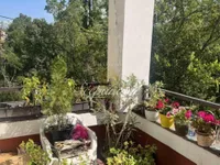Novi Sad - Centar, Stari Grad, Gradske lokacije, Novi Sad | 4zida.rs
