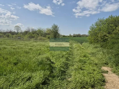 Vinorača | 4zida.rs