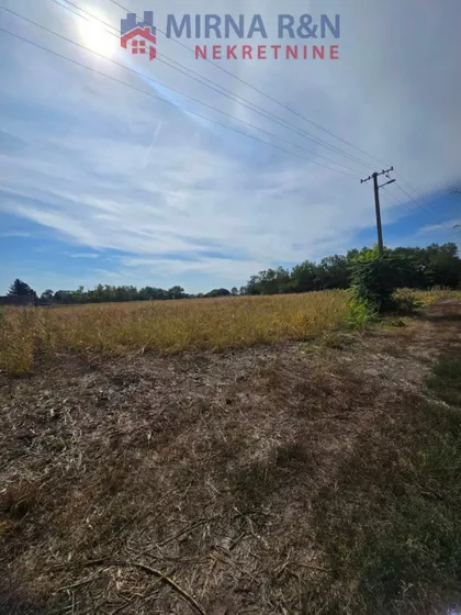 Čonoplja | 4zida.rs