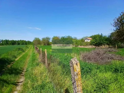 Vinorača | 4zida.rs