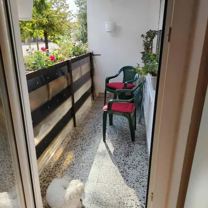 Melenci | 4zida.rs