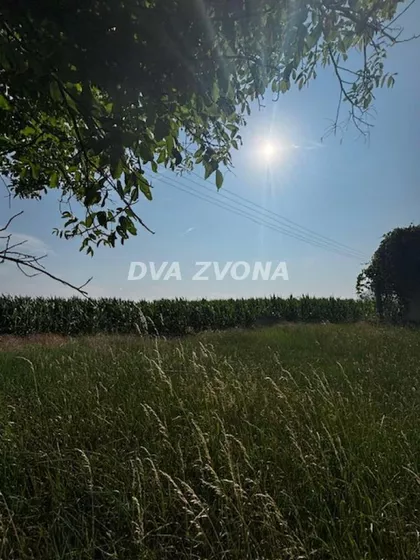 Čortanovci | 4zida.rs