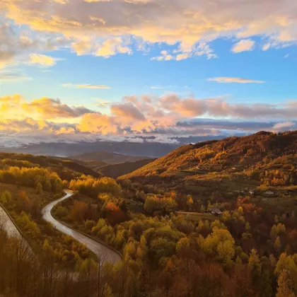 Stefana Prvovenčanog 33 | 4zida.rs