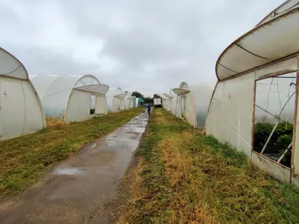 Gradske lokacije | 4zida.rs