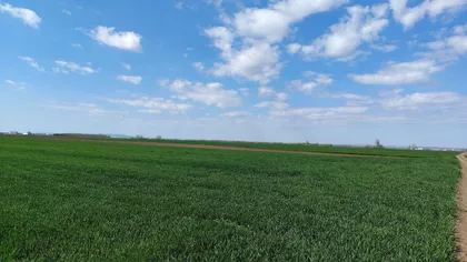 Stari Banovci | 4zida.rs