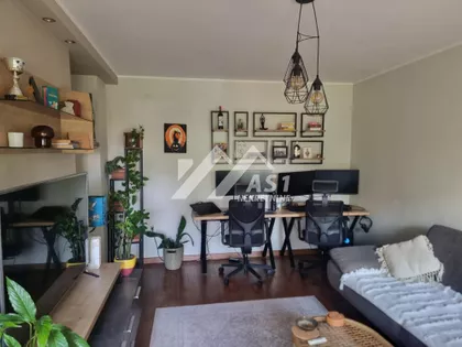 Vase Stajića | 4zida.rs