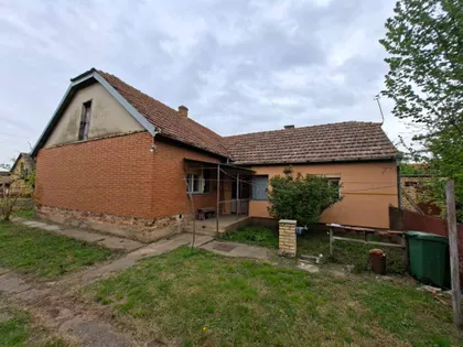 Novi Žednik | 4zida.rs