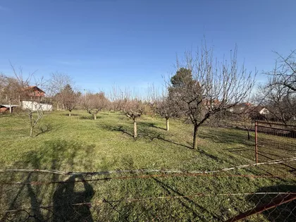 Petrovaradin | 4zida.rs