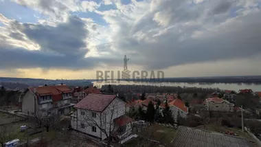 Branislava Stankovića