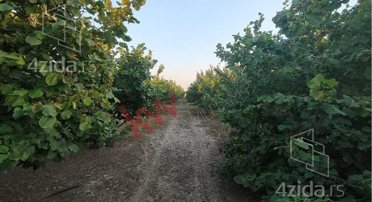 Poljoprivredno zemljište | 4zida