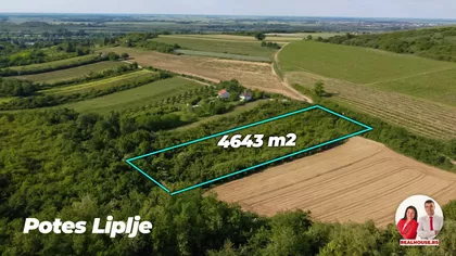 Liplje | 4zida.rs