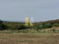 Sremska Kamenica, Gradske lokacije, Novi Sad | 4zida.rs