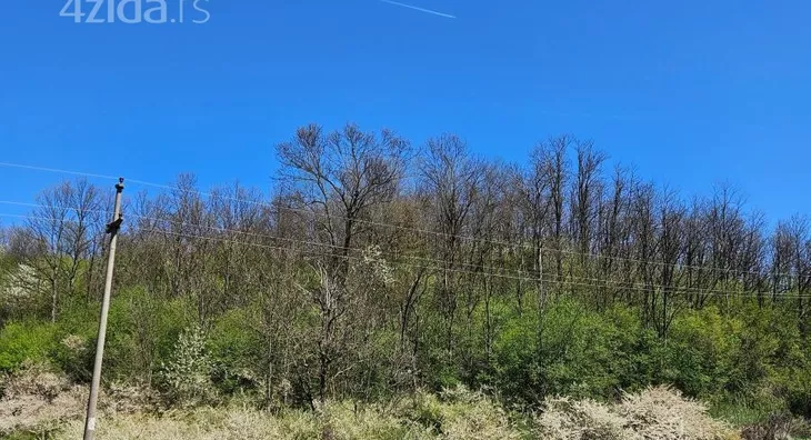 Poljoprivredno zemljište | 4zida