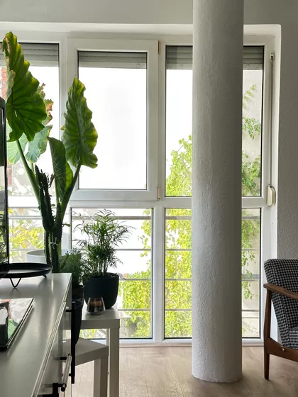 Bore Prodanovića | 4zida.rs