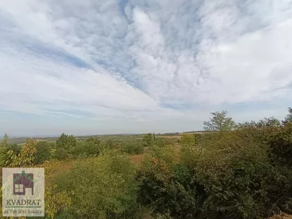 Mislođin | 4zida.rs