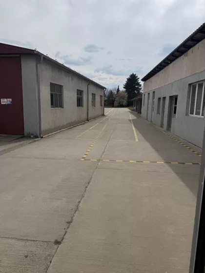 Božidara Petkovića | 4zida.rs