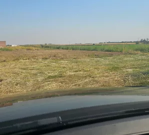 Novi Futog, Futog, Okolne lokacije, Novi Sad, građevinsko zemljište | 4zida.rs