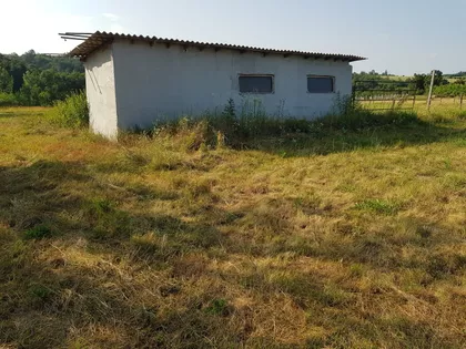 Kosmajska | 4zida.rs