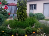 Vučkovica, Okolne lokacije, Knić | 4zida.rs