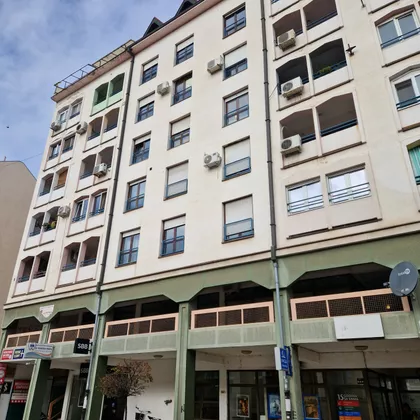 Zmaj Jove Jovanovića | 4zida.rs