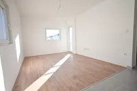 Novi Sad, Gradske lokacije, Adice | 4zida.rs | 4zida.rs