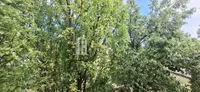 Beograd, Barajevo opština, Vranić | 4zida.rs | 4zida.rs