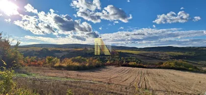 Gradske lokacije | 4zida.rs