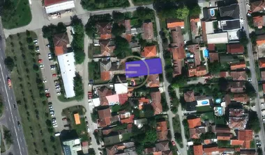 Salajka