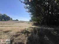 Vojlovica, Gradske lokacije, Pančevo | 4zida.rs
