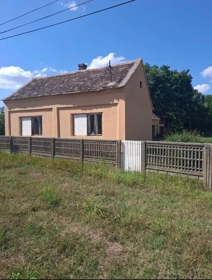 Glušci | 4zida.rs