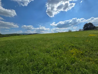 Gornja Trešnjevica | 4zida.rs