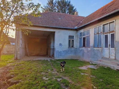 Lenjinova 14 | 4zida.rs