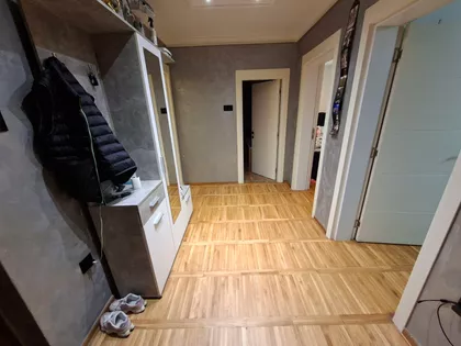 Vojvode Stepe Stepanovića | 4zida.rs