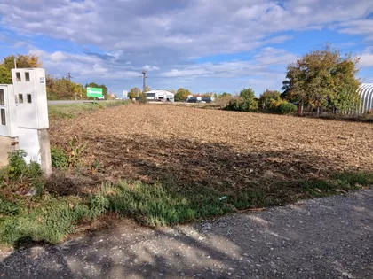 Kisački Put | 4zida.rs