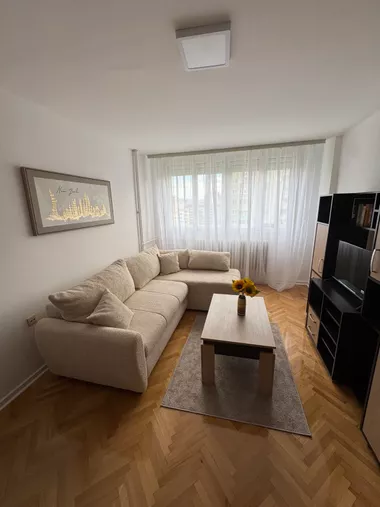 Blagoja Parovića