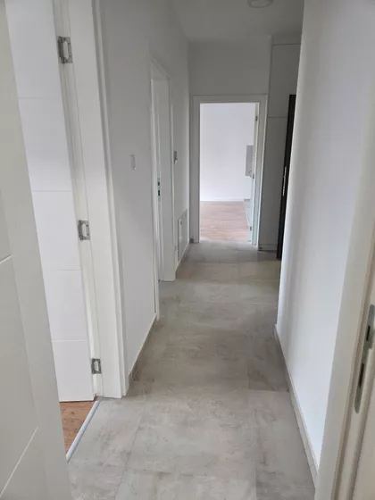 Zrinjskog I Frankopana | 4zida.rs