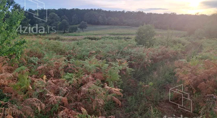 Poljoprivredno zemljište | 4zida