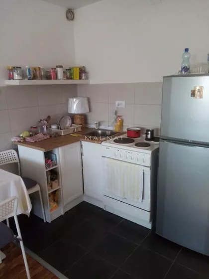 Salvadora Aljendea | 4zida.rs