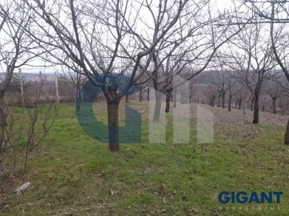 Stanojeva livada | 4zida.rs