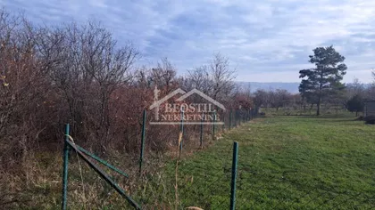 Boška Buhe | 4zida.rs